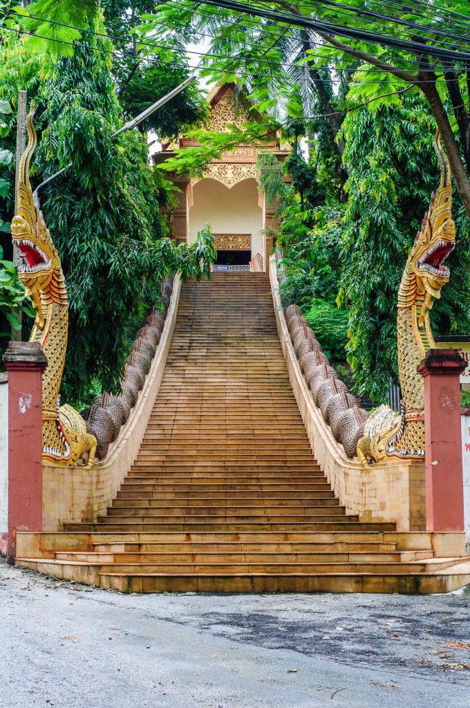 Wat Doi Ngam Muang Stairway (Wat Doi Ngam Muang и котики.)