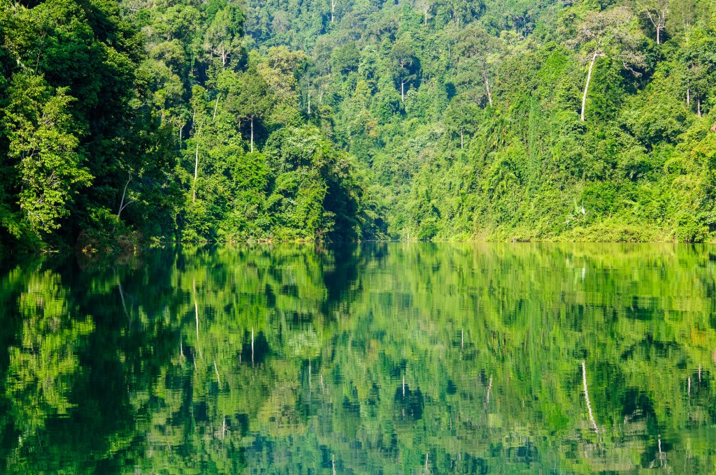Фото таиланда, пейзаж озера Чео Лан, национальный заповедник Као Сок. Провинция Пханг-Нга, Таиланд.