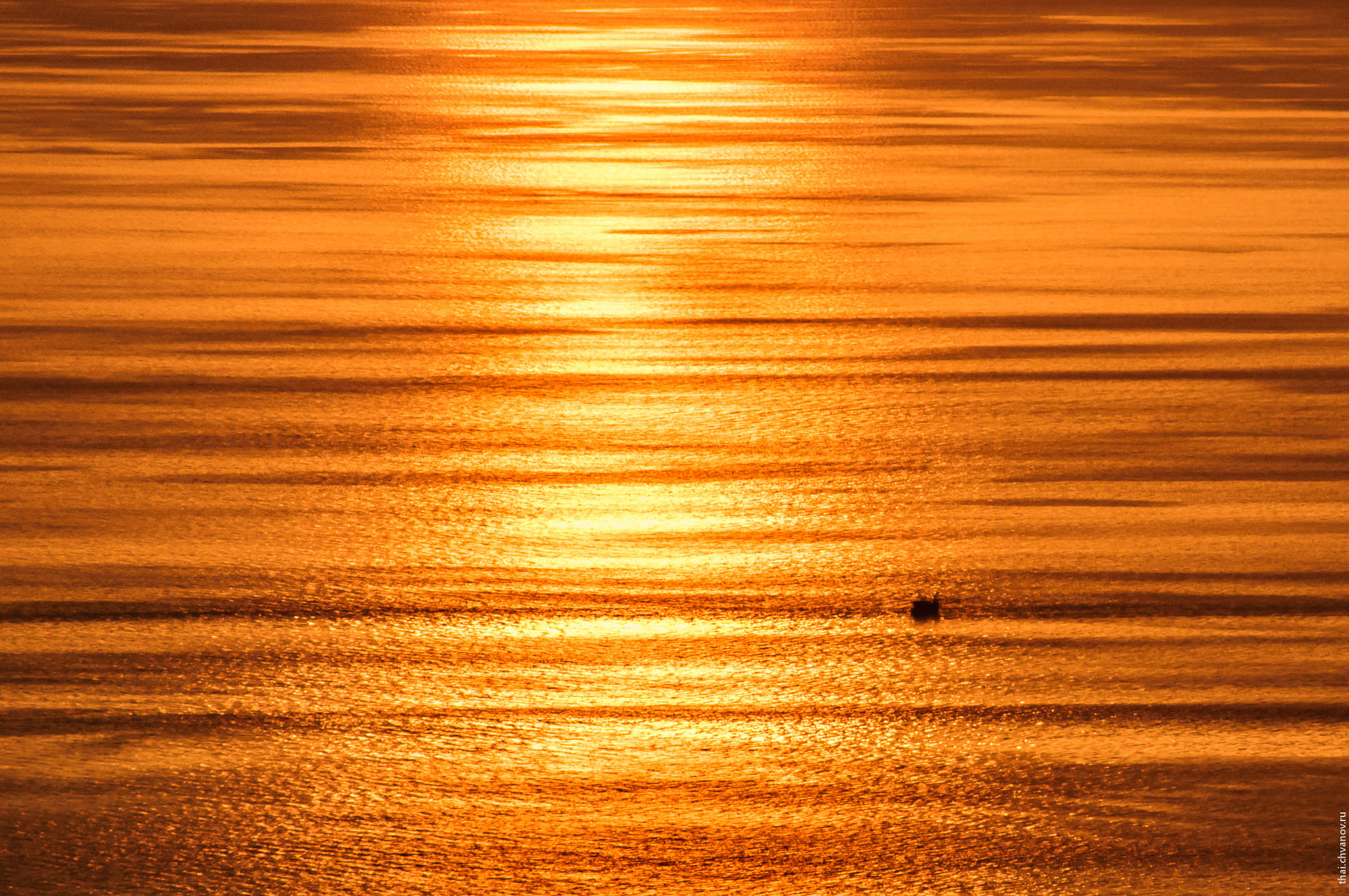 Gold sunset. Золотой закат. Золотистый закат. Золотое море. Золотистое море.