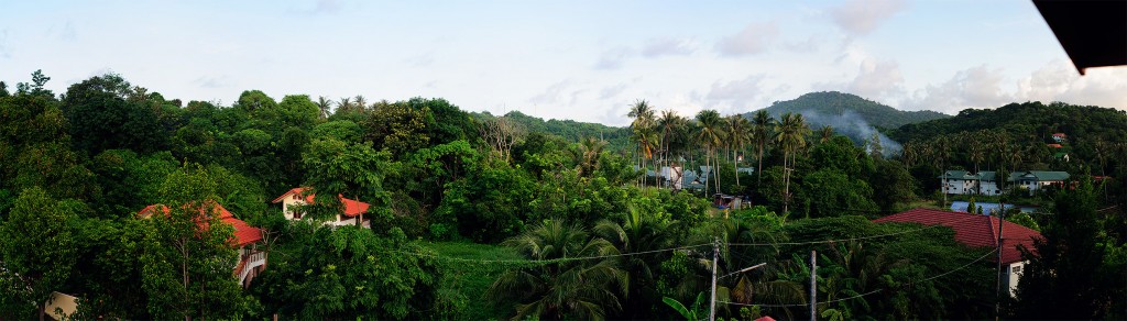 Утренняя панорама с видом на ветряк и пальмы.