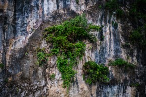 Скалы, окружающие Чао Лан (Тайский Гуйлинь и красоты озера Чао Лан.)