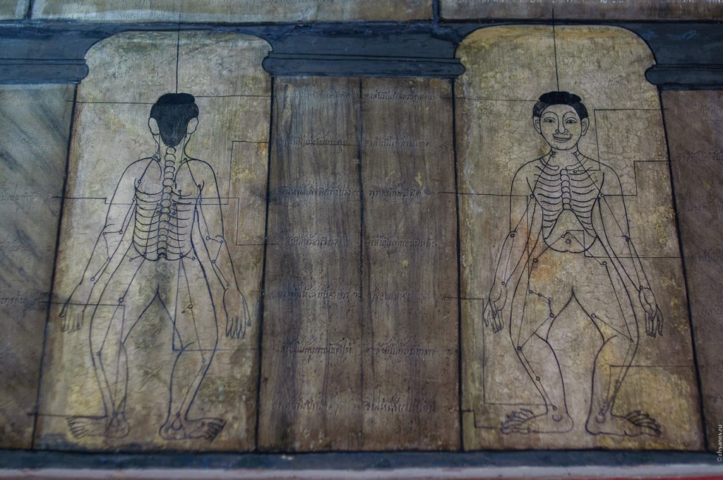 Медицинские записи на стенах храма Wat Pho.