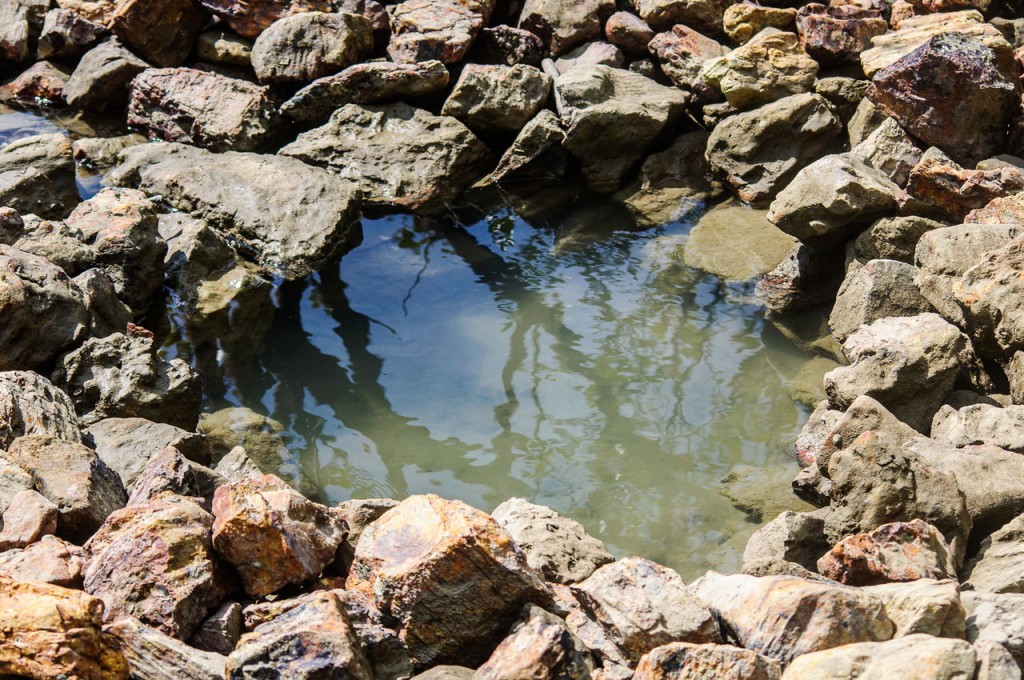 Ключи пресной воды, образующие вот такие лужицы воды посреди камней на морском берегу.