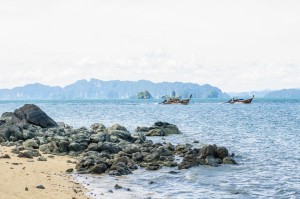 Соревнующиеся лонгтэйлы (Остров Ко Яо Ной)